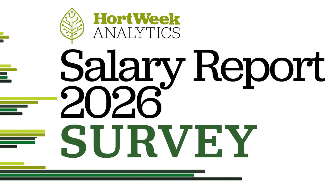 Salary survey
